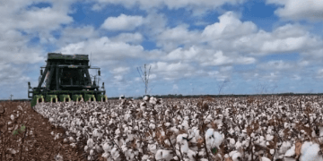 Addressing On-Farm Fatigue: A New Initiative for Agricultural Safety