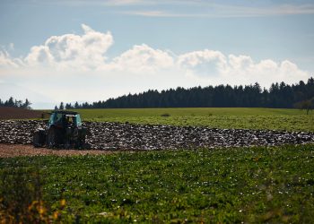 Österreich Allocates 310 Million Euros to Sustainable Agriculture Initiatives