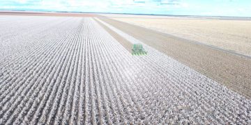 Proterra Investment Partners Lists 23,595ha One Tree Portfolio with Expectations of Over $250 Million