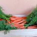Sicilian Organic Carrots Turnover Increases by 25 Percent