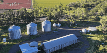 Prime Agricultural Holdings for Sale: Opportunities in New South Wales, Northern Territory, and Queensland