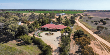 Recent Rural Property Sales Highlight Key Market Trends in NSW and Tasmania