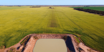Prime Australian Farmland Up for Sale: Winlaton, Marlow, and Merghiny Aggregations