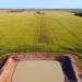 Prime Australian Farmland Up for Sale: Winlaton, Marlow, and Merghiny Aggregations