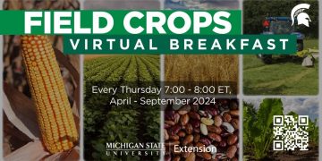 Southwest Michigan Field Crops Update: Weather, Pests, and Crop Progress