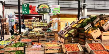 Uruguay’s CALPRODEC Launches Innovative AGROTIC Project for Digital Transformation in Agriculture