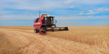 Early Harvest in Kalmykia Due to Heatwave and Drought Challenges