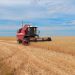 Early Harvest in Kalmykia Due to Heatwave and Drought Challenges