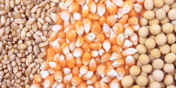 Mapa Publishes Minimum Prices for Summer and Regional Products for the 2024/2025 and 2025 Harvests