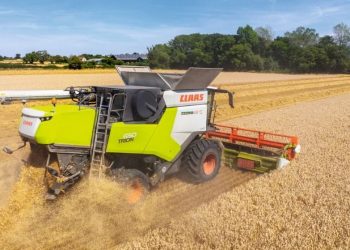 Winter Crop Harvest Sees Optimistic Yields in Bulgaria and Romania