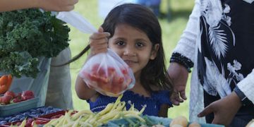 Advancing Environmental Sustainability in Canadian Agriculture: A Comprehensive Overview