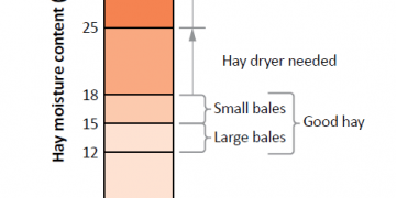 Preventing and Extinguishing Hay Fires: Essential Tips for Farmers
