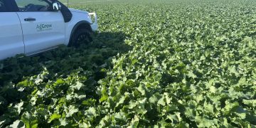 Rural Bank Mid-Year Outlook Highlights Positives