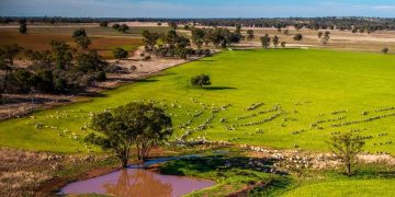 Trundle’s Jones Family Calls Time on Thriving Darriwell Aggregation