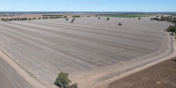 Mid-Winter Market Surge: New Sales and Listings in New South Wales