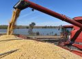 Global Food Price Index Stable Despite Vegetable Oil Surge