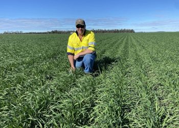 Feedgrain Focus: Growers Go Cold in Sagging Market