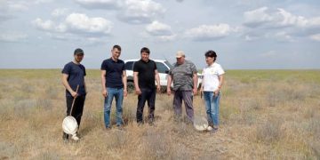 Kalmykia Continues Battle Against Locust Pests