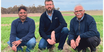 Revolutionizing Wheat Production: WA Nitrogen-Use Efficiency Project Kicks Off