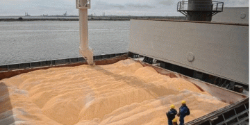 The Surge in Ukrainian Wheat Imports: Implications for Vietnam’s Agricultural Sector