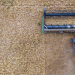 Brandenburg’s Grain Cultivation Decline: Insights and Implications for 2024
