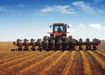The Wheat Dilemma: Challenges in Israel’s Pursuit of Food Security