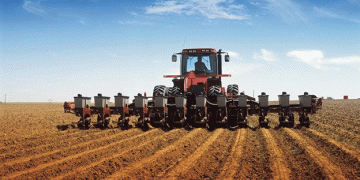 The Wheat Dilemma: Challenges in Israel’s Pursuit of Food Security