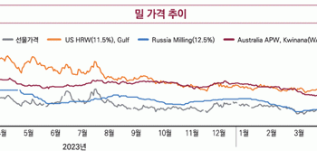 Global Grain Prices Continue to Decline in Q3: Opportunities and Challenges for Farmers
