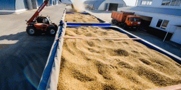 Australian Wheat Exports Decline as End of Marketing Year Approaches