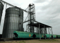 China’s Wheat Import Restrictions: A New Challenge for Kazakhstan’s Grain Trade