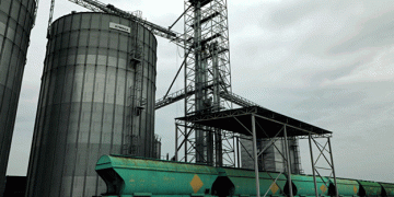 China’s Wheat Import Restrictions: A New Challenge for Kazakhstan’s Grain Trade