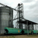 China’s Wheat Import Restrictions: A New Challenge for Kazakhstan’s Grain Trade