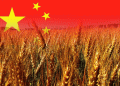 China’s Surge in Russian Grain Imports: Trends, Implications, and Future Prospects