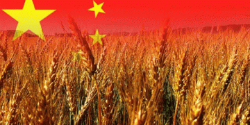 China’s Surge in Russian Grain Imports: Trends, Implications, and Future Prospects