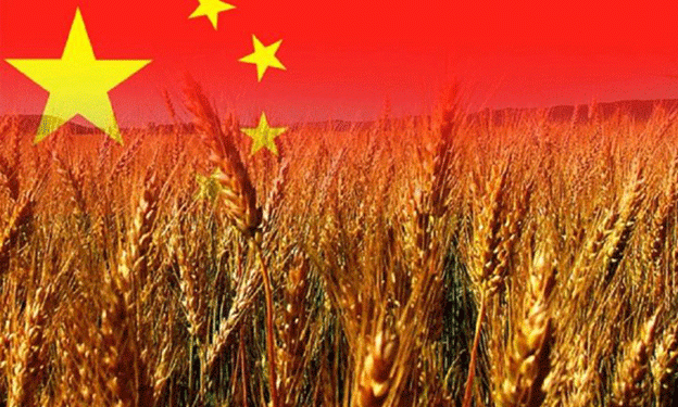 China’s Surge in Russian Grain Imports: Trends, Implications, and Future Prospects