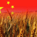 China’s Surge in Russian Grain Imports: Trends, Implications, and Future Prospects