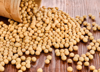Vietnam’s Mid-Year Agricultural Import Review: Corn, Soybean, and Wheat Trends in 2024