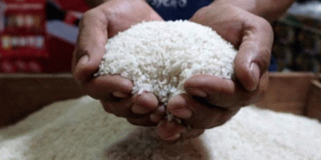 Rising Rice Prices in Indonesia: Addressing the Gap Between Market Rates and Government Price Caps