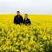 BASF Expands InVigor Canola Range with New Hybrid Varieties for 2025