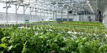 Prime Agricultural Properties for Sale Across Southern Australia: A Spring Opportunity