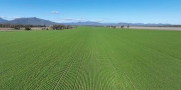Strong Demand for Mixed-Farming Properties in North-West NSW