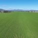 Strong Demand for Mixed-Farming Properties in North-West NSW