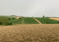 Catastrophic Weather Hits French Grain Production, Threatening Global Wheat Supply