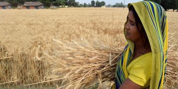 Celebrating National Nutrition Week: HarvestPlus and Yara India’s Commitment to Nutritious Diets