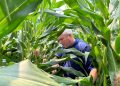Navigating the Future of Bio-Nutrition: Insights from Biolevel’s Business Development Manager