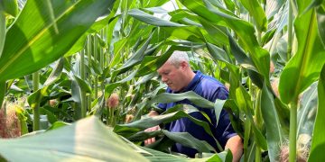 Navigating the Future of Bio-Nutrition: Insights from Biolevel’s Business Development Manager