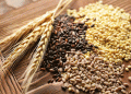 Ulyanovsk Region Achieves Remarkable Harvest Progress with Over 90% of Grain Crops Collected
