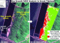 Flood Recovery Fails: Ansok Tideland’s Rice Harvest Expected to Fall Short by 30-40%