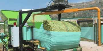 Transforming Corn into Feed: How Linxia’s Grain-to-Feed Initiative is Revolutionizing Agriculture