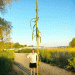 Kuban Farmer Grows World’s Tallest Corn, Setting New Agricultural Record
